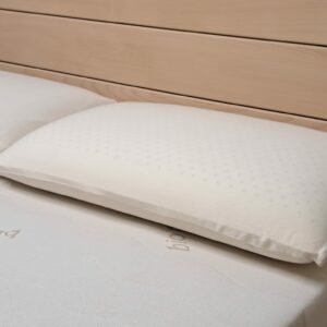 Le grand Oreiller 100% latex naturel