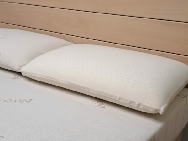 Le grand Oreiller 100% latex naturel